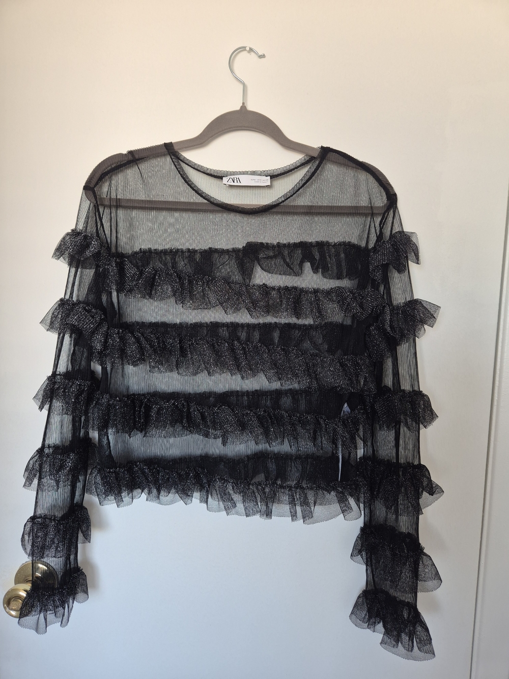 Zara Black Sheer Ruffle Long-Sleeve Top